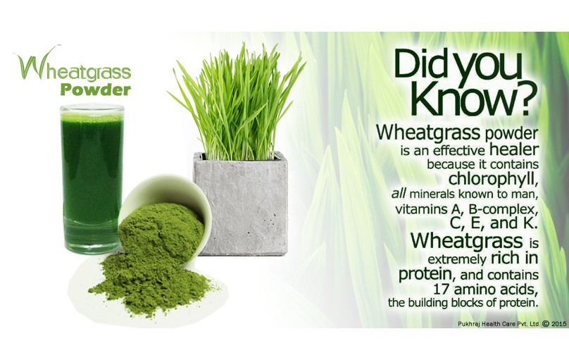 wheat_grass_powder_nutrition-808x511.jpg