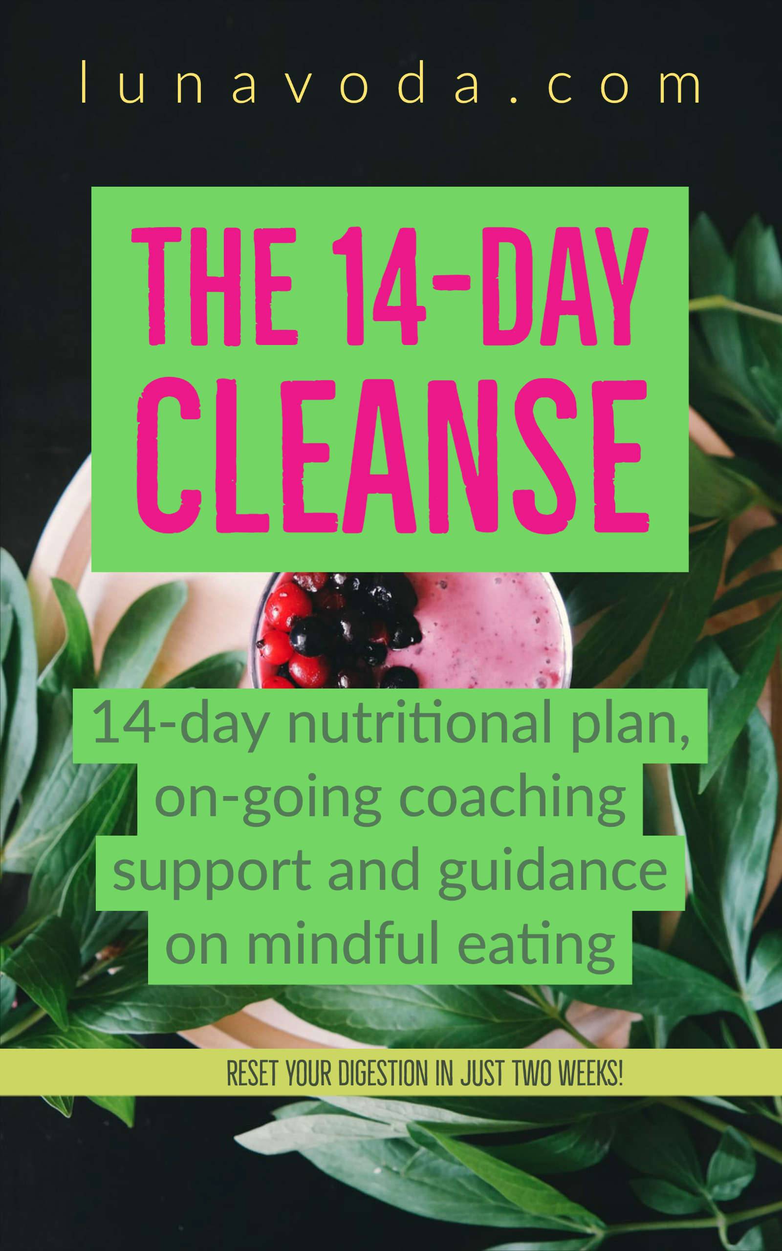 14daycleanse