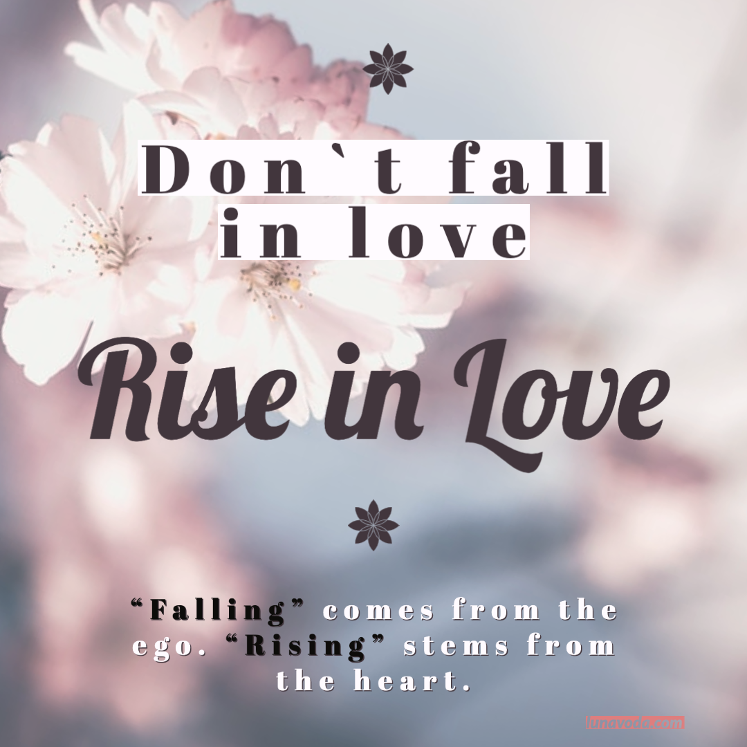 rise in love